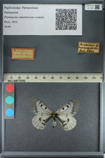 Media type: image;   Entomology 179929
